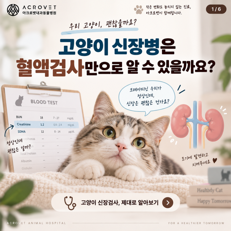 광진구동물병원 고양이 신장병은 혈액검사만으로 알 수 있을까요?