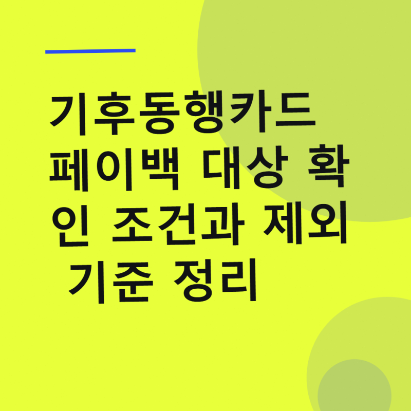 기후동행카드 페이백 대상 확인 조건과 제외 기준 정리