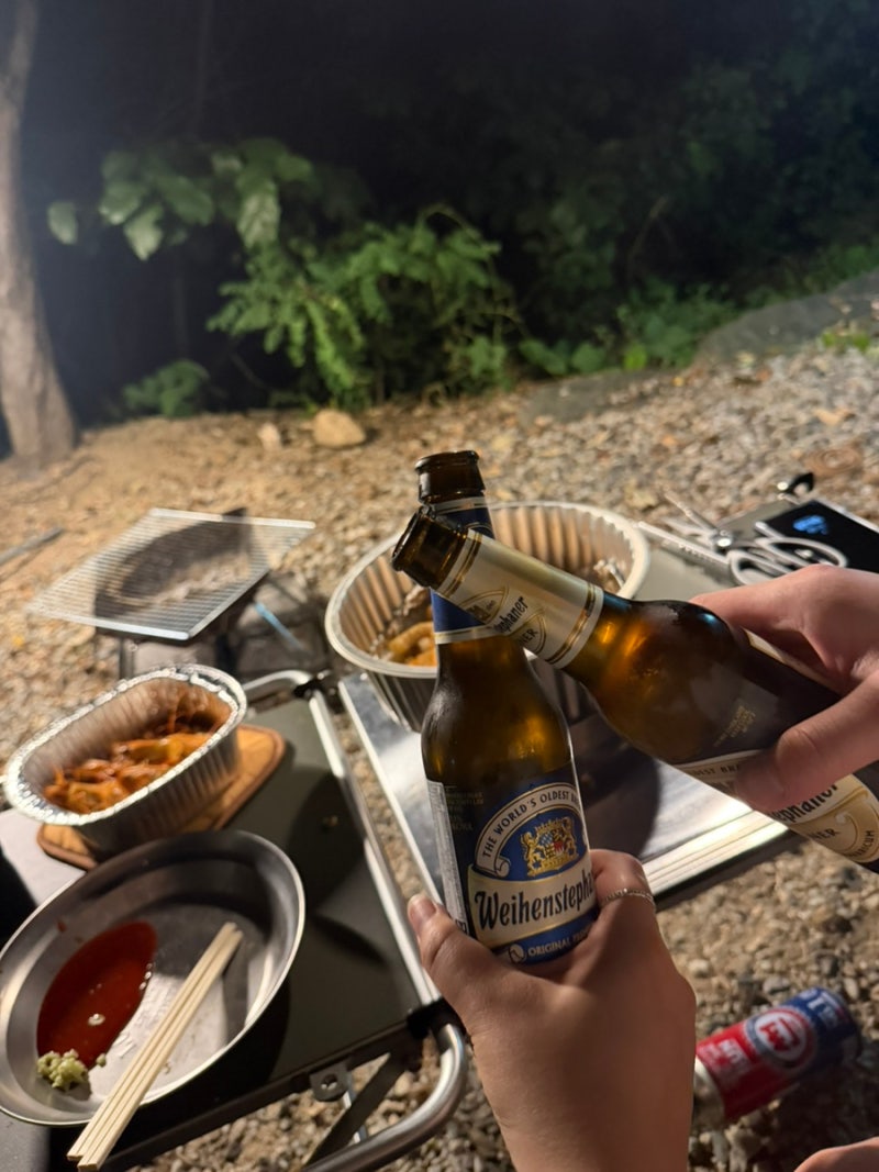 Yongin Danpungsup Campground, Giraffe Zone 3 - Campsite Near Seoul