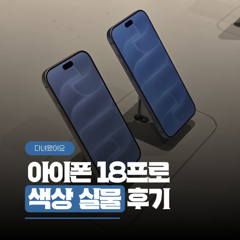 아이폰 18프로·프로맥스 색상 실물 후기, 명동 애플스토어