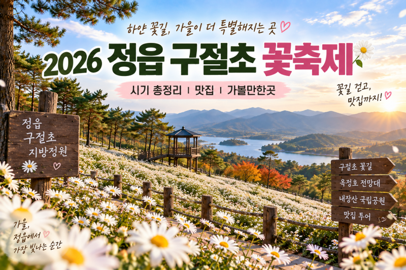 2026 정읍 구절초 축제 시기 총정리｜꽃길 걷고 맛집까지, 가을 정읍 하루여행 코스