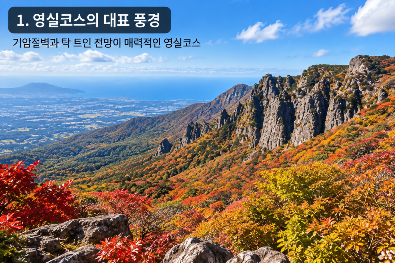 영실코스와 어리목코스 차이 비교｜한라산 초보자는 어디가 좋을까?