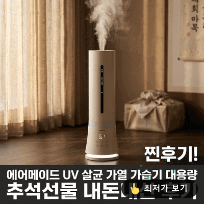 에어메이드 UV 살균 가열 가습기 대용량 추석선물 내돈내산 후기