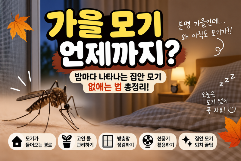 가을 모기 언제까지? 밤마다 나타나는 집안 모기 없애는 법 총정리
