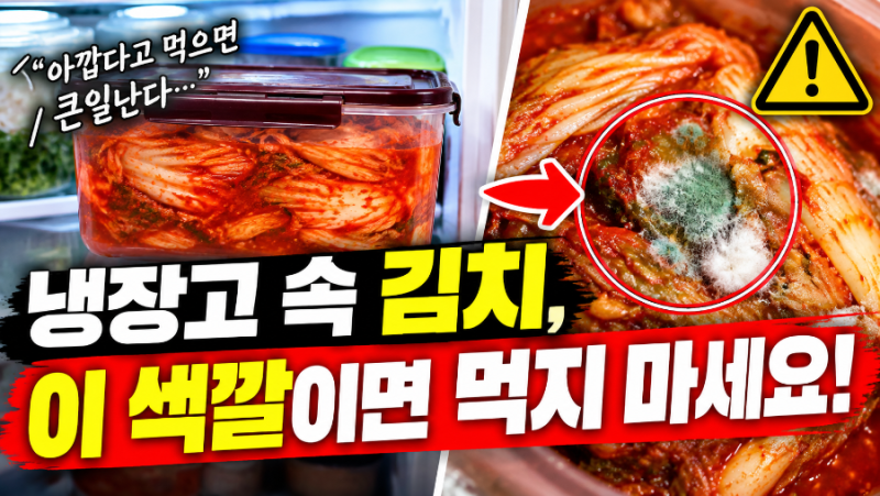 김치에 하얀 막 생겼는데 먹어도 될까? 골마지와 곰팡이 구별법,, 냉장고 김치, 이 색이면 ....