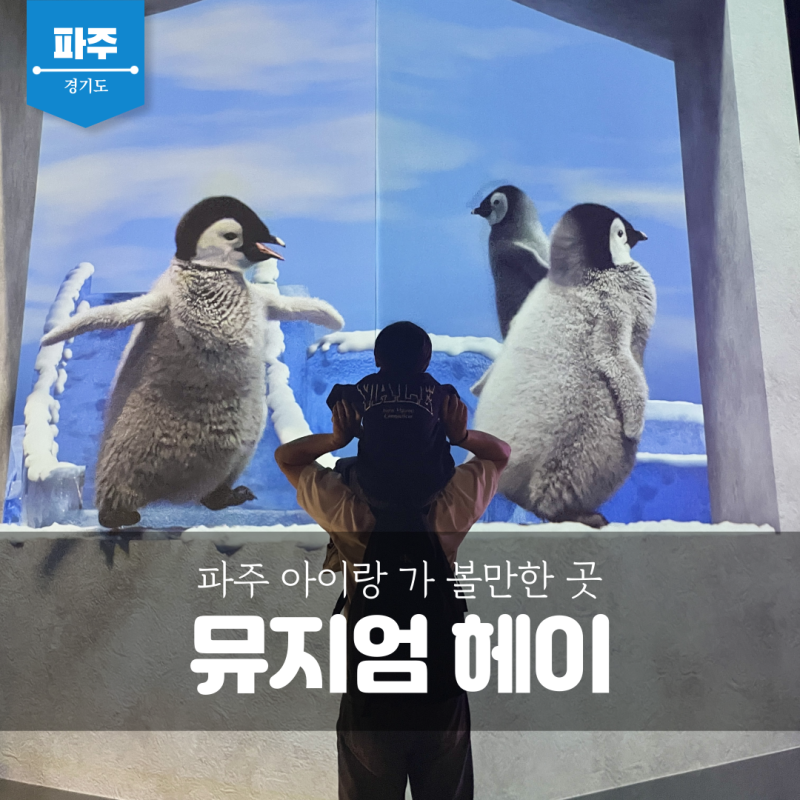 헤이리마을 인근 파주 가볼만한곳, 파주 실내데이트 뮤지엄헤이 6세 아이랑 방문 후기