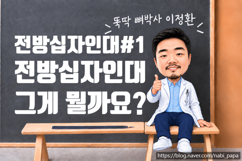 전방십자인대#1. 전방십자인대는 어떤 인대일까?