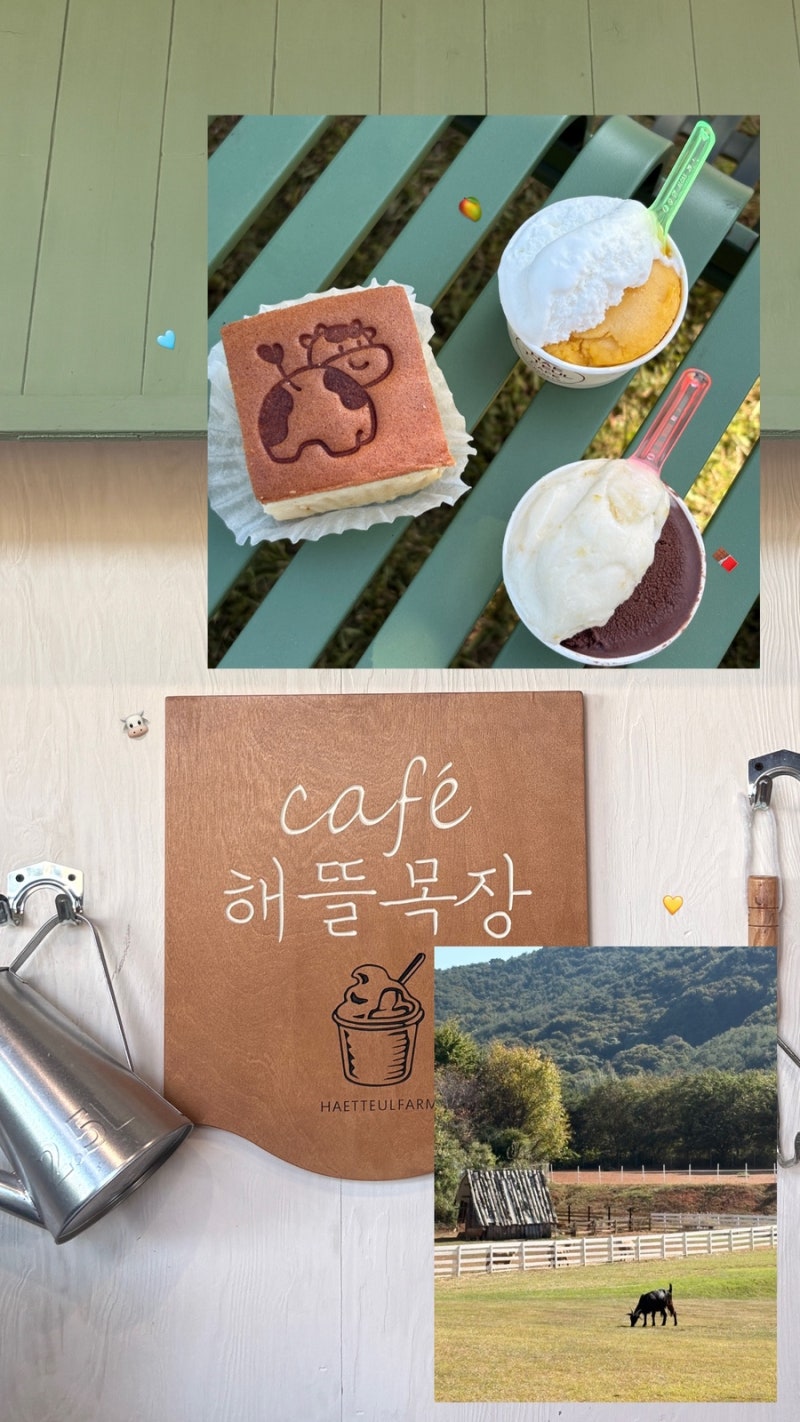 [경남 하동여행] 경남 아이랑가볼만한곳 목장체험/ 해뜰목장 정보 및 내돈내산 후기