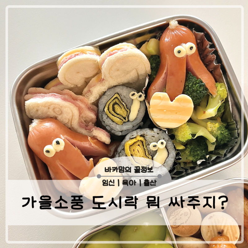 가을소풍 도시락 메뉴 추천｜유치원 도시락 고르는 법부터 싸는 꿀팁까지