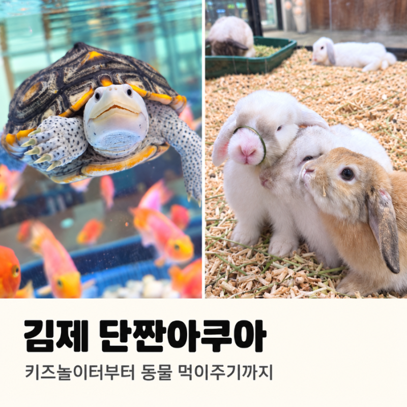 전주 근교 아이와 가볼 만한 곳｜김제 단짠아쿠아 먹이주기·실내 놀이터 후기