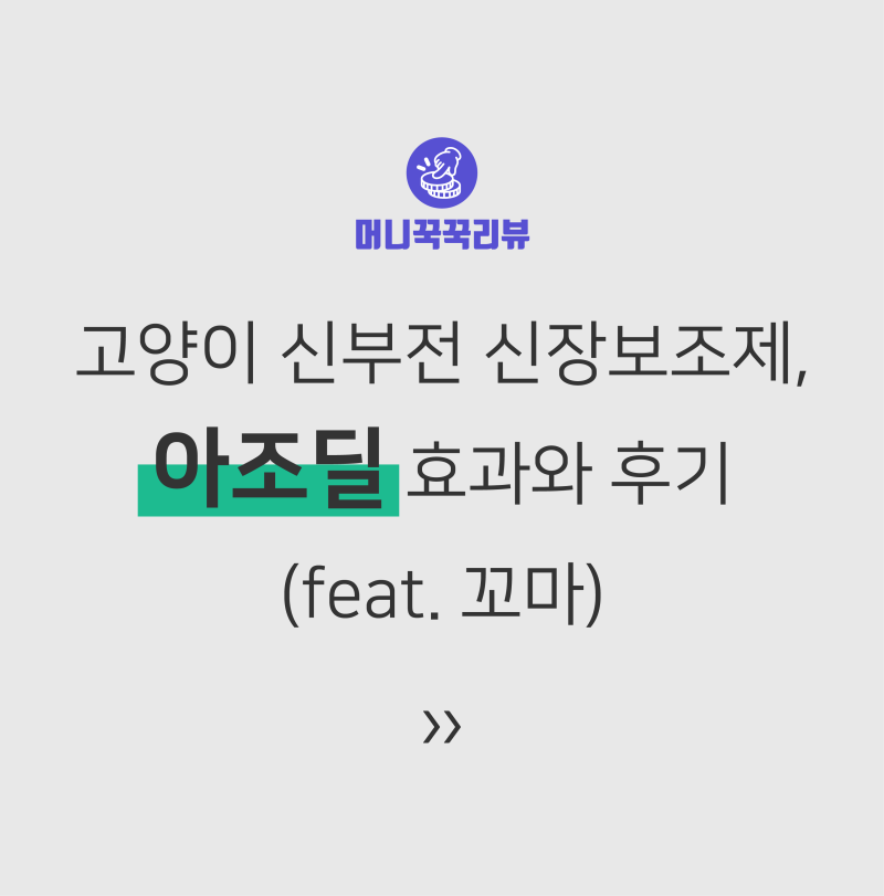 고양이 신부전 신장보조제, 아조딜 영양제 효과와 후기(feat. 꼬마)