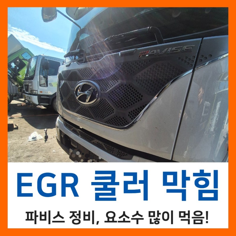 요소수 많이 먹고 DPF 수트 게이지 빨리 참, 파비스 EGR 쿨러 정비 [ 한국타이어 TBX 양지점 고려....