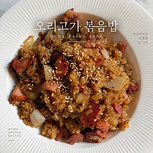 오리고기 볶음밥, 훈제오리와 양파로 간단하게 만드는 한 끼