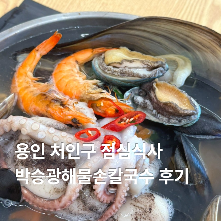 용인 처인구 해물칼국수 맛집 박승광해물칼국수 용인점