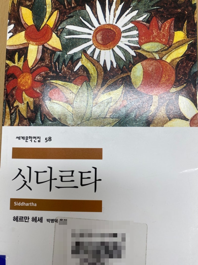 독서- 싯다르타(민음사, 헤르만헤세)