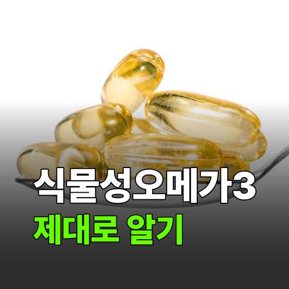 식물성오메가3 총정리, 아침 들기름 한 스푼으로는 부족한 이유