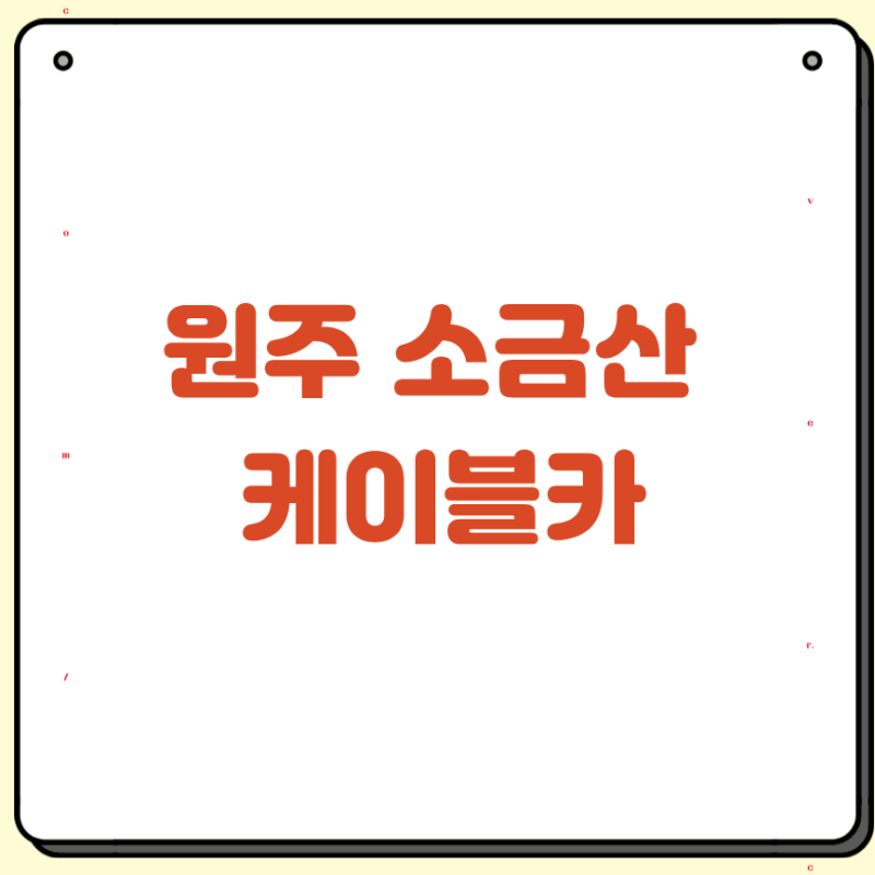 원주 소금산 출렁다리 케이블카 코스 가격 할인 방법