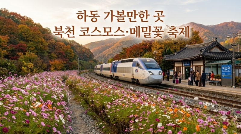 하동 가볼만한곳 북천 코스모스 메밀꽃 축제 소요시간 및 당일치기 코스
