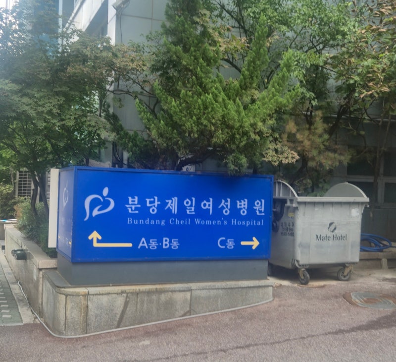 [결혼 준비] 분당제일여성병원 예비 남편 임신 사전건강관리 산전검사 후기