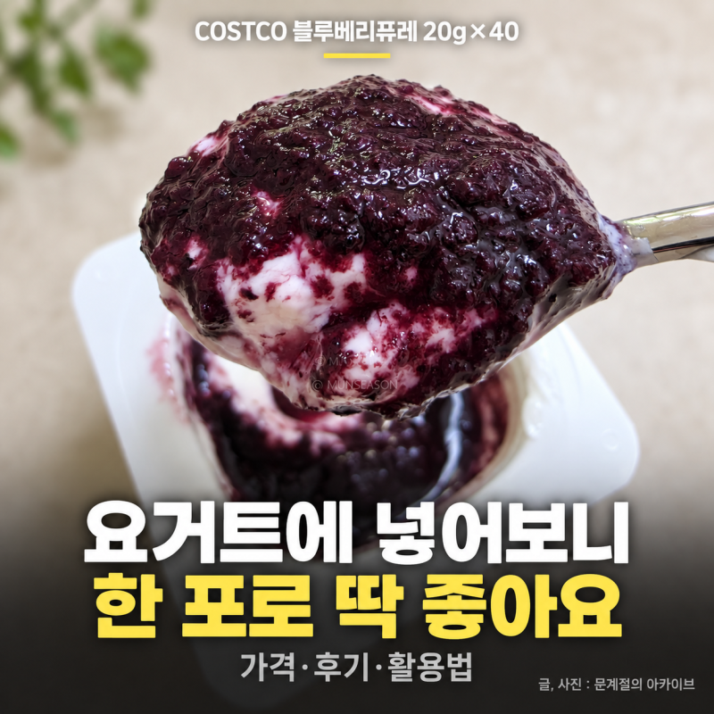 코스트코 블루베리퓨레 가격과 후기, 요거트 레시피 활용법