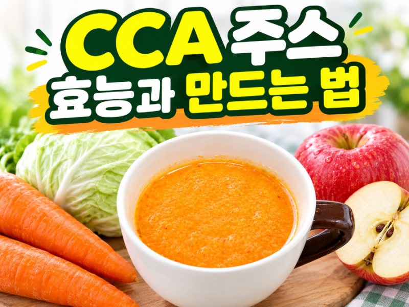 매일 아침 CCA 주스 효능과 만들기