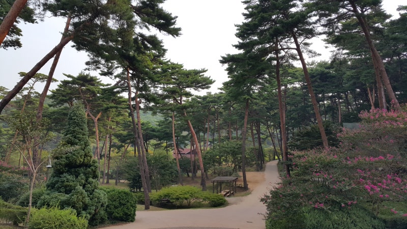태안 꽃지해수욕장 안면도 자연휴양림 1박2일: 만리포 vs 꽃지 어디 묵을까? 일몰 뷰 카페 & 게....