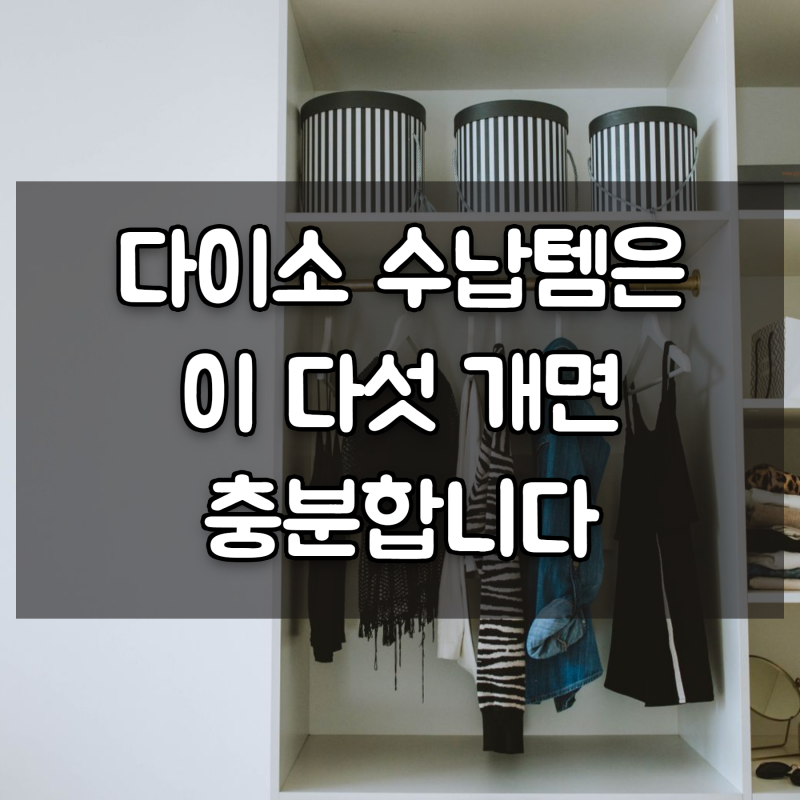환절기 옷정리 다이소 수납템은 이 다섯 개면 충분합니다
