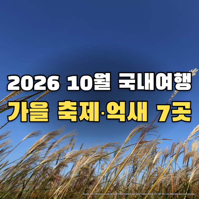 10월 국내여행 추천｜가을 여행지 7곳 일정 총정리