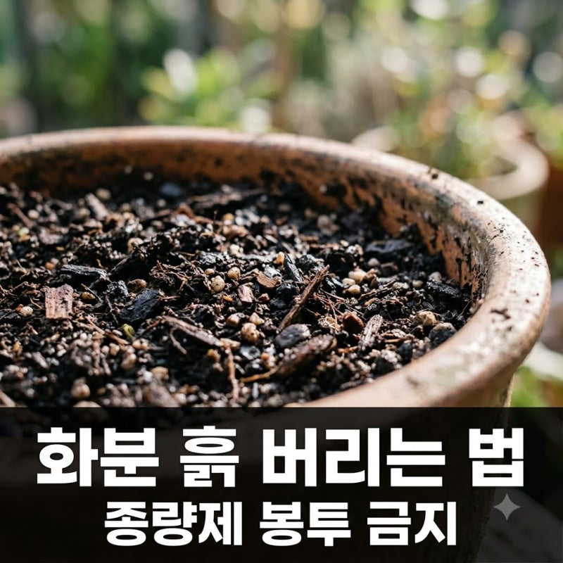 다 쓴 화분 흙 어디에 버려야 할까? 종량제 봉투 전 꼭 확인하세요