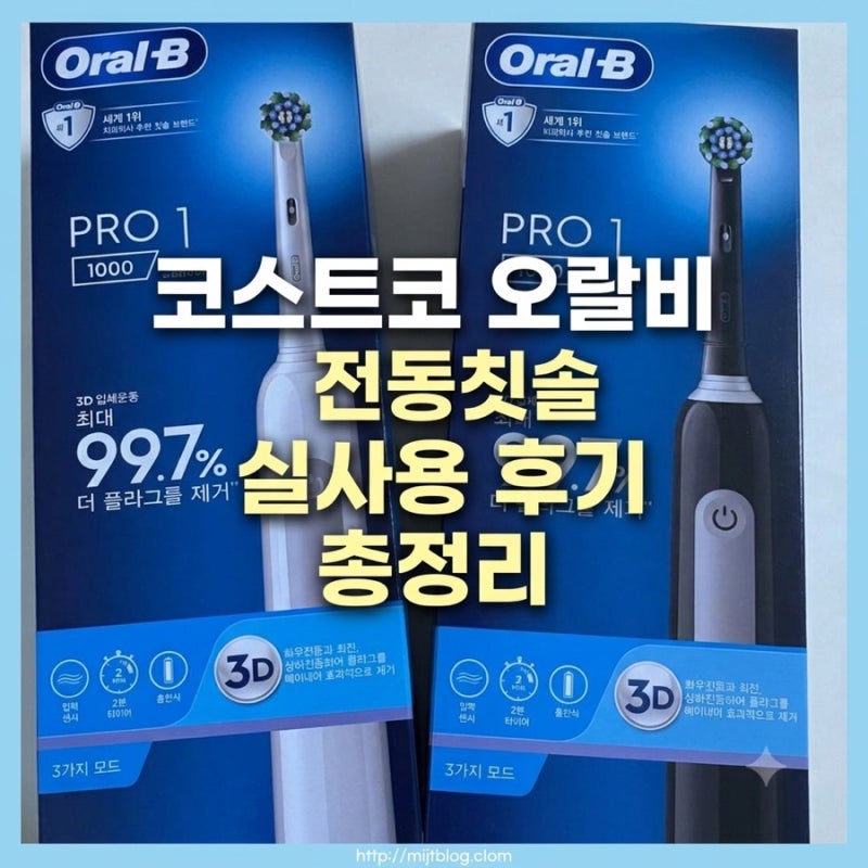 코스트코 오랄비 전동칫솔 잇몸 자극 플라그 제거 내돈내산 실사용 후기