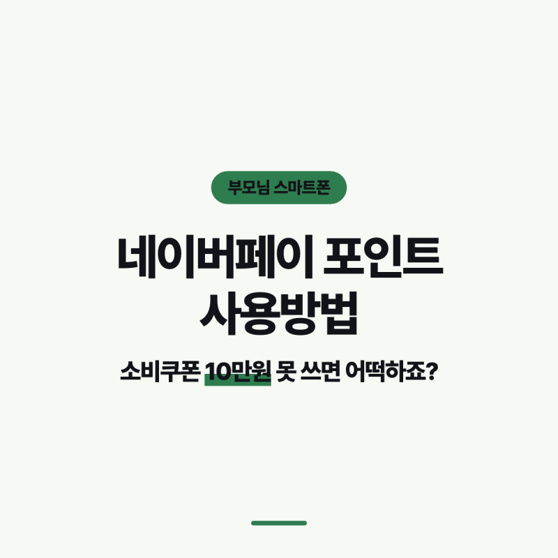 네이버페이 포인트 사용방법, 소비쿠폰 10만원 못 쓰면 어떡하죠?