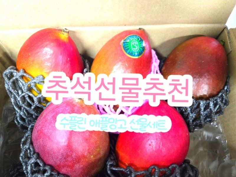 추석선물 추천 수플린 애플망고 5종 카카오선물로 간편하지만 고급스럽게