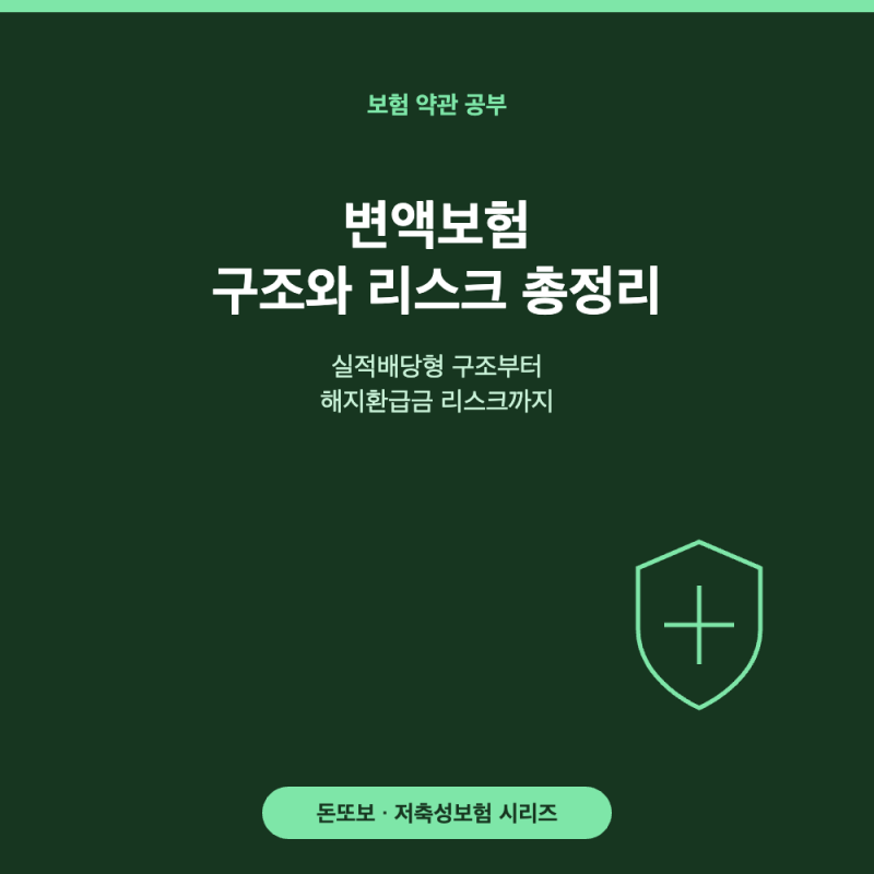 변액보험 - 실적배당형 구조와 해지환급금 리스크 총정리