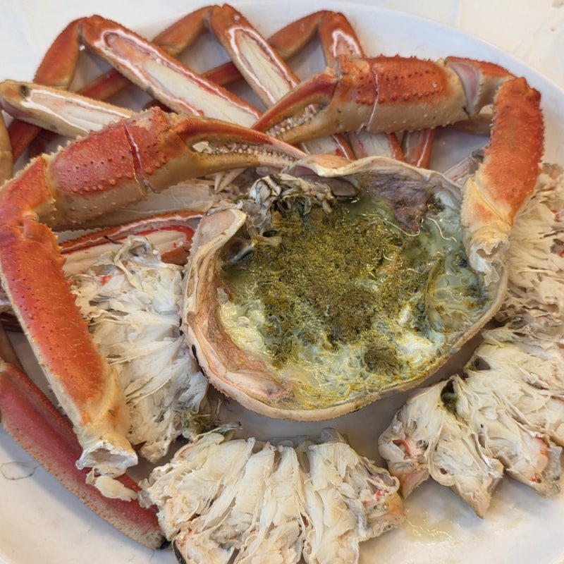 속초대게 맛집 대포리, 대포항 뷰 대게 맛집(애견동반 가능)