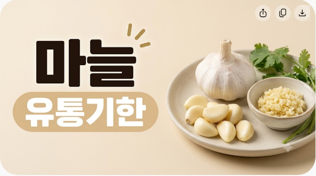 다진마늘 깐마늘 유통기한 얼마나 될까? 냉장 냉동 보관기간과 상한 마늘 구별법