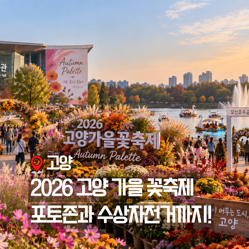 서울근교 가을꽃 명소 2026 고양가을꽃축제 볼거리부터 꿀팁까지