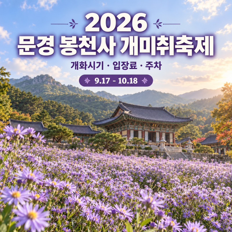 9월 문경 가볼만한곳｜봉천사 개미취축제 개화현황과 주차 정보