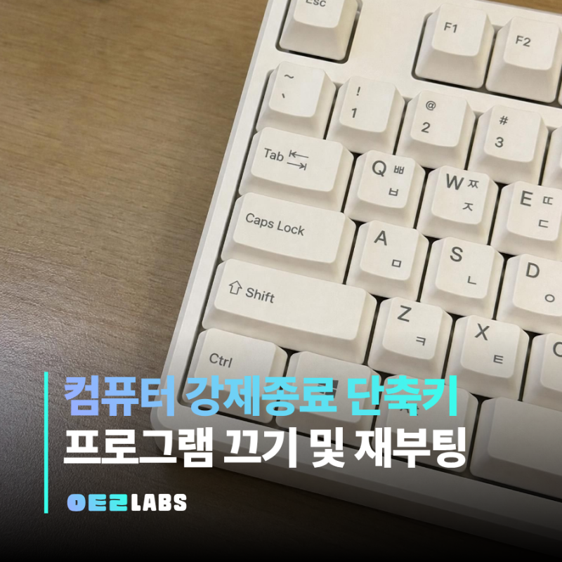 윈도우11 강제종료 단축키 | 프로그램 끄기와 재부팅 방법