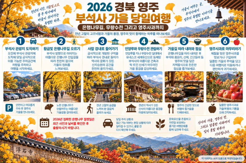 2026 영주 부석사 은행나무길｜절정시기와 단풍·사과까지 즐기는 가을여행