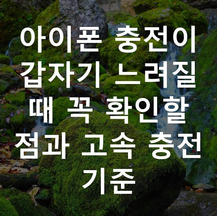 아이폰 충전이 갑자기 느려질 때 꼭 확인할 점과 고속 충전 기준