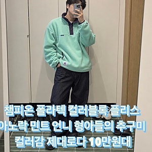 챔피온 폴라텍 컬러블록 플리스 아노락 민트 언니 형아들의 추구미 컬러감 촉감 제대로다