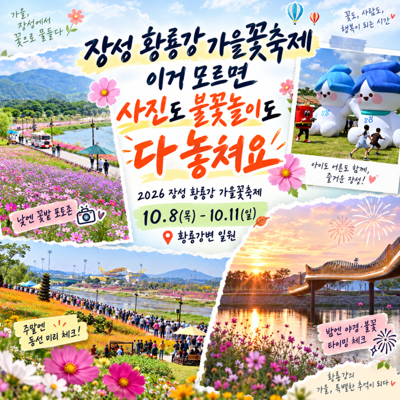 장성 황룡강 가을꽃축제 이거 모르면 사진도 불꽃놀이도 다 놓쳐요