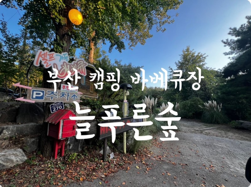 부산 캠핑 바베큐장 추천 늘푸른숲