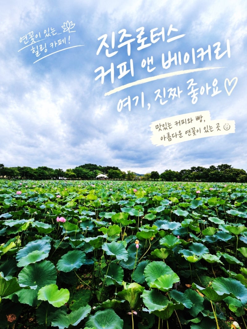 진주 가성비 숙소 골든튤립호텔 연꽃카페 로터스커피, 맛집 방문