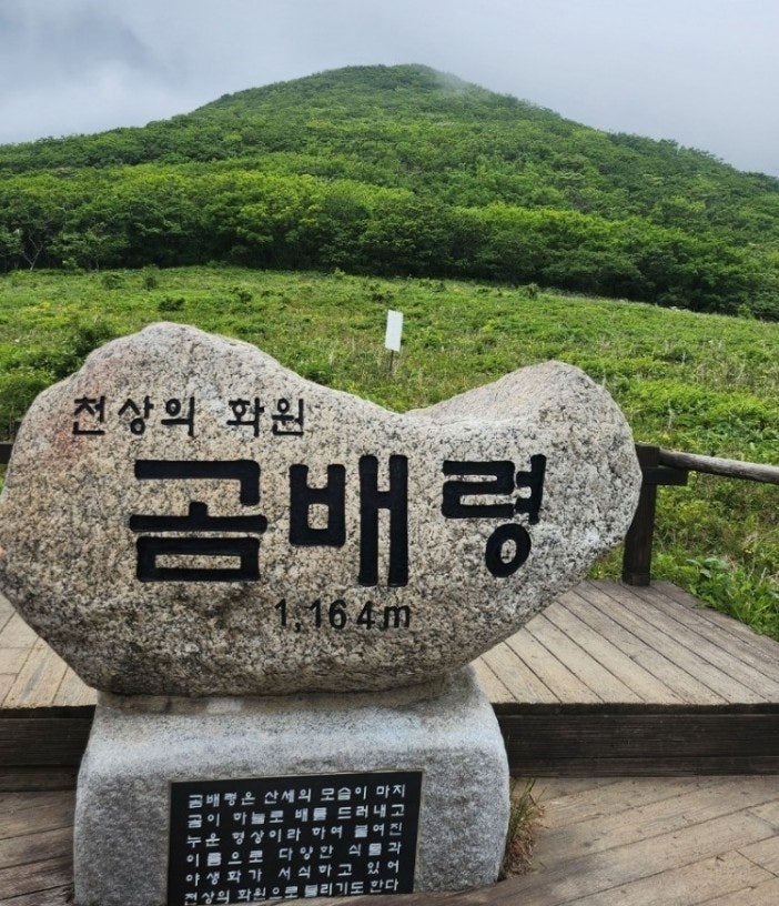 Jumbongsan Mountain, Inje Gomberyong Forest Trail: Wildflower Garden of Heaven, Trekking Only Until October (Reservation via Supnadeul-e)