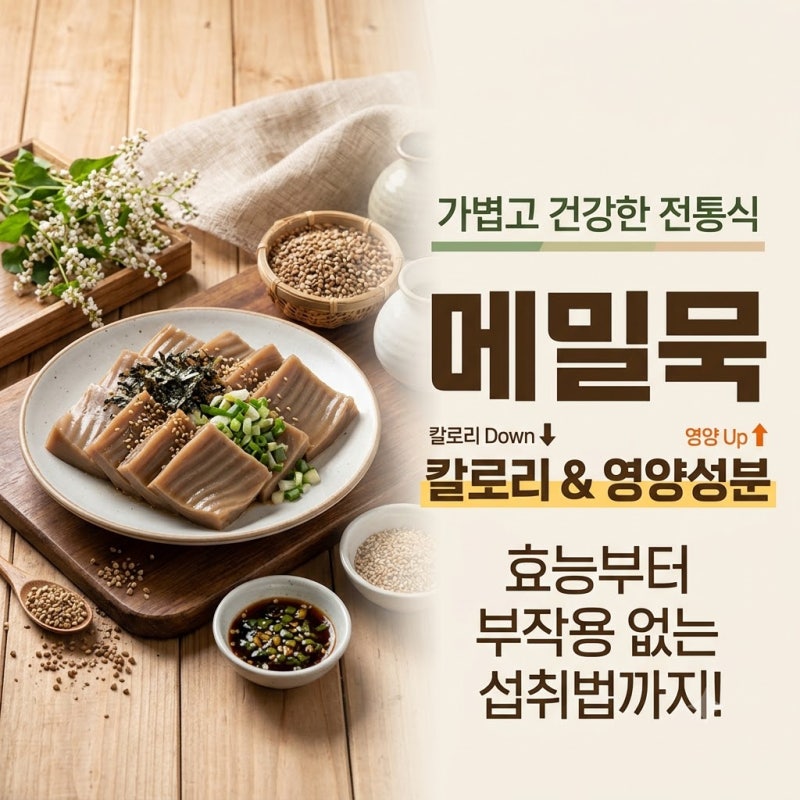 메밀묵 칼로리와 영양성분 효능, 부작용 줄이는 올바른 섭취방법 총정리