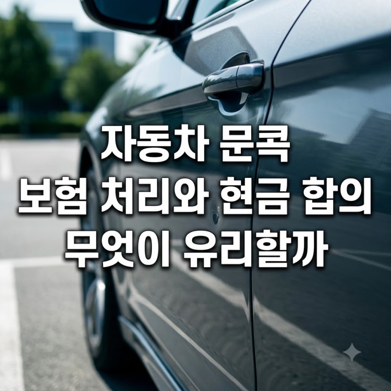 자동차 문콕 보험 처리와 현금 합의 무엇이 유리할까