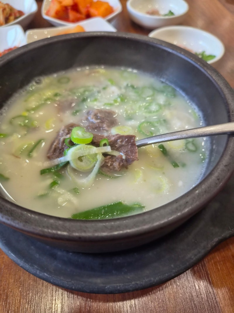 [대전괴정동맛집]입맛 사로잡은 담백하고 맛있는 도가니탕이 먹고싶을땐 소나무풍경(부모님....
