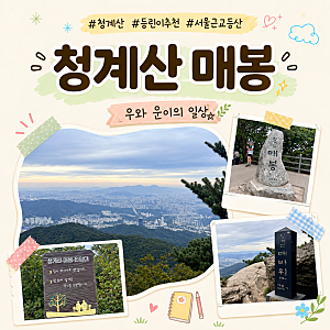경기/과천 서울 근교 등산 초보 등린이 추천 산 ʚ청계산 매봉ɞ 등산코스, 주차