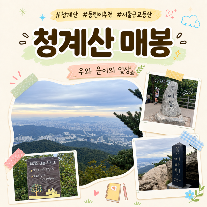 경기/과천 서울 근교 등산 초보 등린이 추천 산 ʚ청계산 매봉ɞ 등산코스, 주차